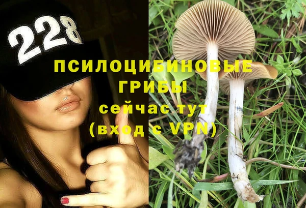 спиды Абинск