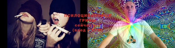 бошки Абаза